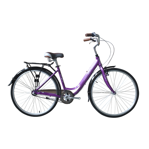 26 CITY Bike Shimano internal 3SP