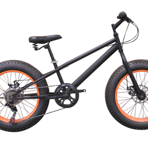 20 inch STEEL FRAME SHIMANO 7SP Snow bike