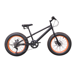 20 inch STEEL FRAME SHIMANO 7SP Snow bike