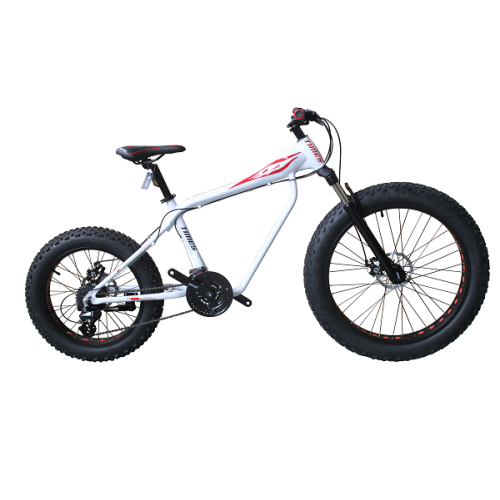 26 INCH ALLOY FRAME FAT/SNOW BIKE  ON ROAD
