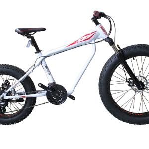 26 INCH ALLOY FRAME FAT/SNOW BIKE  ON ROAD