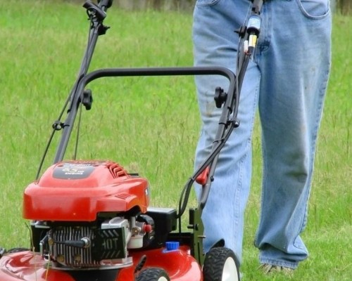 How to Choose the Right Lawn Mower?