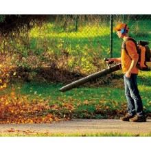 How to deal with fallen leaves？