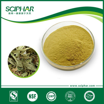 Bamboo Leaf Extract Powder