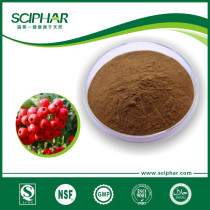 Hawthorn berry Extract