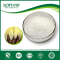 2015 New Certified Organic Chicory Root Extract Inulin, Organic Inulin Powder, 90% Organic Inulin