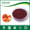 Lycopene   natural herb extracts   lycopene tomato powder
