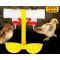 Stainless Steel Push Poultry Chicken Bird Quial Rabbit Nipple Drinker
