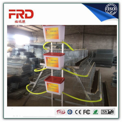 FRD-automatic chicken cage automatic chicken layer cage for sale in philippines