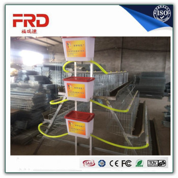 FRD-Automatic Egg Collection Machine & Crosswise Egg Conveyor System For A type and H Type Battery Layer Cage
