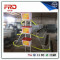 FRD-poultry farms automatic equipment layer cages bird chicken cage
