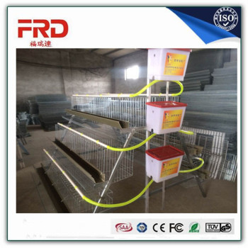 FRD-High quality algeria chicken farm layer poultry cages