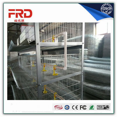 Factory 3 Tiers A type Automatic Chicken Cage For African Market