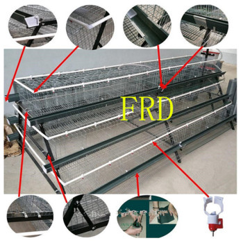 FRD-Brand new big capacity 4 tiers 240 birds H type automatic chicken layer cages(Whatsapp:+86-15275709648)