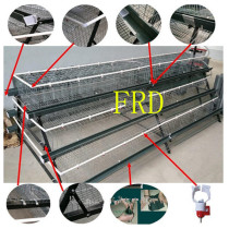 FRD-Automatic A-Type Multi-tier Chicken layer cage(Whatsapp:+86-15275709648)