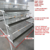 FRD-Design Pakistan Poultry Farm Equipment Chicken Cage/Automatic Layer Cage/Poultry chicken cage for Kenya farm(Whatsapp:+86-15275709648)
