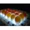 FRD high precision metal Chicken eggs husbandry egg tester with egg tray