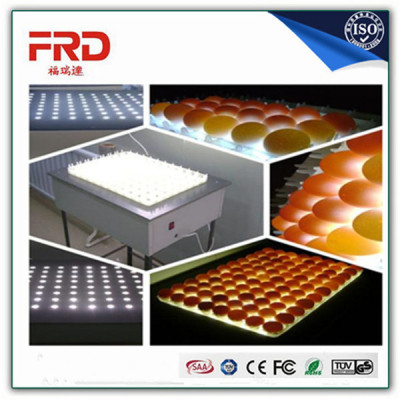 FRD-6336 CE approved digital automatic thermostat egg incubator for hatching 6000 pcs chicken egg