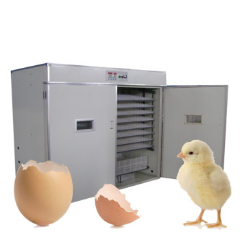FRD-3520 China manufacture wholesale price medium capacity  digital intelligent thermostat solar egg/poultry incubator