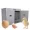 FRD-3520 Low energy consumption medium capacity fully automatic professional chicken/poultry egg incubator