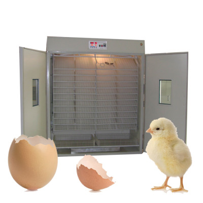 FRD-4224 Unique design medium capacity temperature controller high performance complete automatic chicken egg incubator for sale