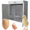 FRDA-1056 egg incubator made in china with best quality and best price