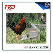 chicken treadle feeder best price poultry feeding line galvanized