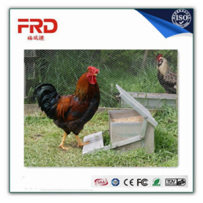 chicken turkey treadle feeder new automatic 10kg with high quality