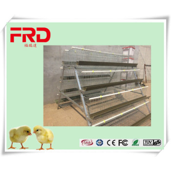 FRD 4 tires layer chicken cage Furuida layer chicken layer cage of poultry equipment cage