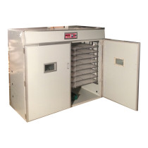 solar energy China manufacture FRD-2816 chicken egg incubator and hatcher