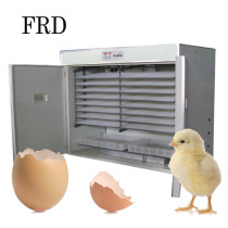 solar energy China manufacture FRD-3168 chicken egg incubator and hatcher