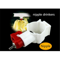 Poultry Drinker - 6 Nipple Waterer - Chicken Feeder - Ducks