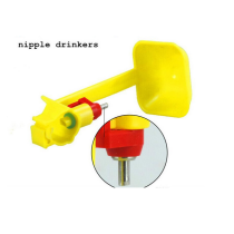 Hot Selling water poultry chicken nipple drinkers