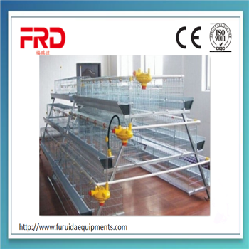 Large-scale automatic chicken cage/cages laying hens / high quality cheap galvanized welded wire poultry chicken cage