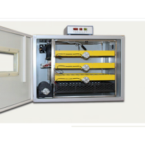 FRD-240 automatic  with hatcher focus industry high quality 240 eggs incuabtor