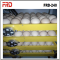 CE 220V egg incubator temperature and humidity tube egg incubator FRD