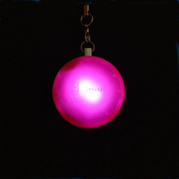 Cheap Automatic Motion -activated Purse light