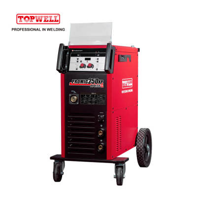 Double Pulse MIG/MMA Welding Machine Inverter Welder PROMIG 250XP Synergic 220V Fish-scale Pattern