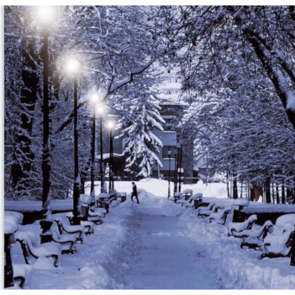 The first snow of 2018 in Hangzhou city