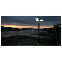 Landscape lamp | Pole top light WD-T018-A | 3 land head | Aluminum & stainless steel | PC diffuser