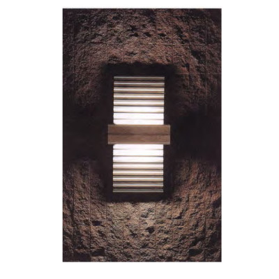 Wall lamp WD-B116 |  Bird-wing shape | High-quality aluminum | Custom outdoor Luminare | CFL E27