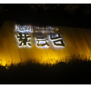 Flood light WD-F507 | High-quality aluminum | tempered glass diffuser | LED module  | IP65