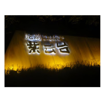 Flood light WD-F507 | High-quality aluminum | tempered glass diffuser | LED module  | IP65