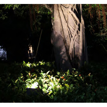 High-quality aluminum | Flood light WD-F513 | COB LED 30w or 50w×2 | IP65 | Tempered glass diffuser