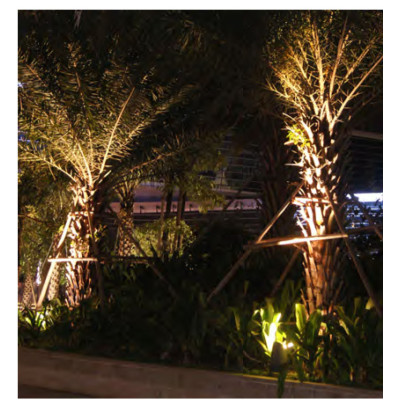 Custom flood light WD-F010-H | COB LED and LED module | High quality aluminum lamp body | IP65