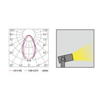Flood light WD-F019 | COB LED module | High quality aluminum body | tempered glass diffuser