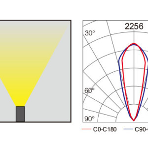 Linear wallwasher light WD-FL503 | Aluminum lamp | LED Module | tempered glass diffuser | IP65