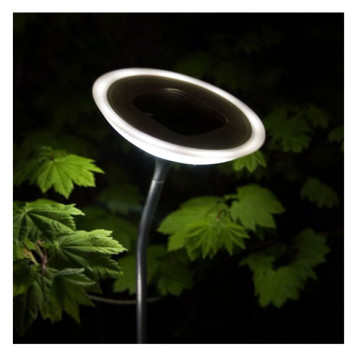 Lawn lamp WD-C161 | Solar bollard light | LED module | aluminum+stainless steel | PC diffuser | IP55