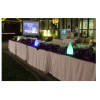 Candle light W160*H280 flower lamp LED module 3W/6W imported resin blue green purple red WD-C507