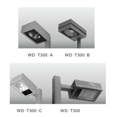 Landscape lamp WD-T300 | cuboid head | aluminum alloy tube | tempered glass diffuser | HALOGEN E27